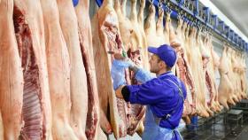 Россия поставила в Китай более 10 тысяч тонн свинины